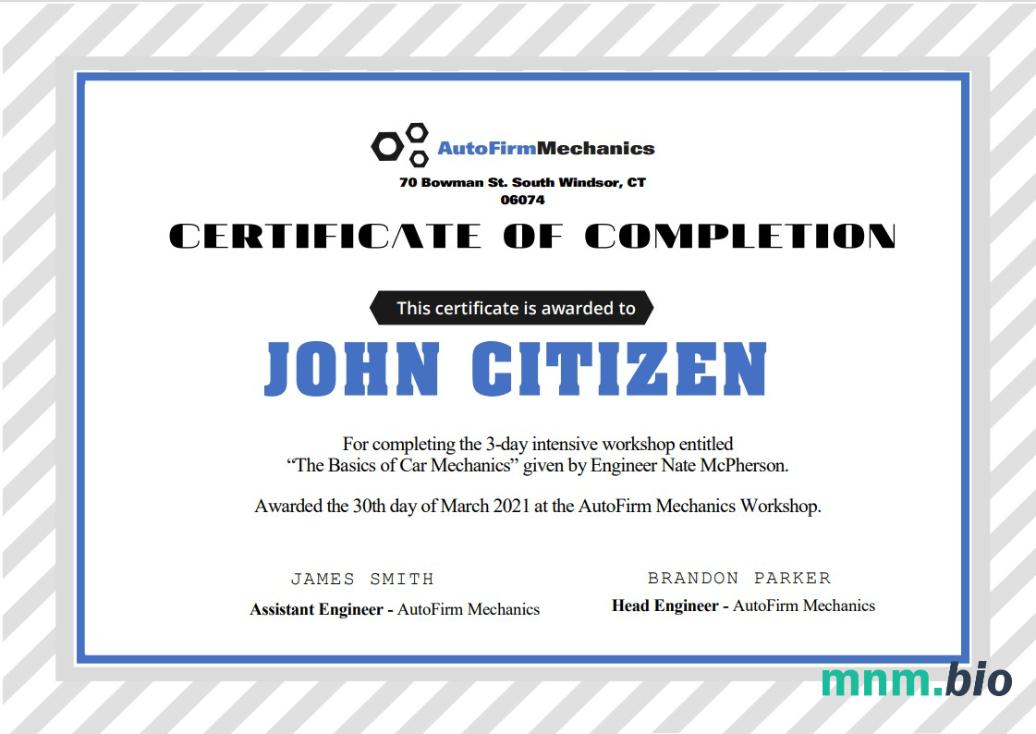 USA Car Workshop Experience Certificate szablon in Word i PDF formacie